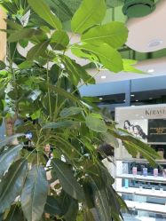 -艺米阳光Hair Salon