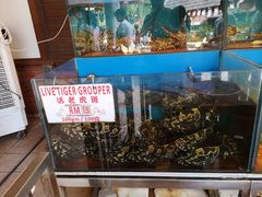 -真浪花园海鲜餐馆