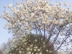 -重庆中央公园(渝北区)