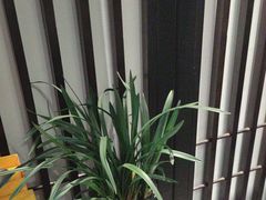 -溪畔•新徽菜(碧湖云溪店)
