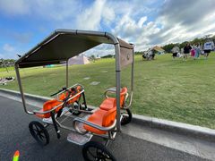 -春花秋色城市公园