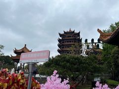 -黄鹤楼公园(黄鹤楼)