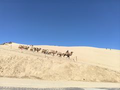 -玉龙沙湖景区