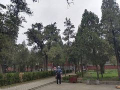 -中岳庙