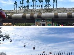 -大连森林动物园