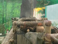 -灵玲国际马戏城