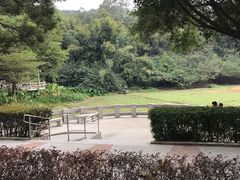 -云溪植物园
