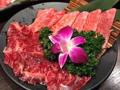 -俺的焼肉(銀座9丁目店)