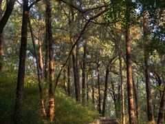 -千佛山风景名胜区
