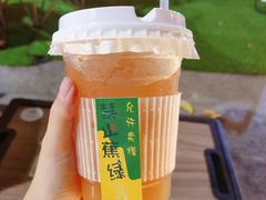 -凤城·食都