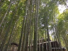 -宝岩生态观光园