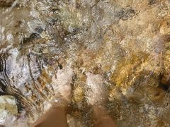-南海湾森林生态园