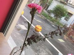 -Punchline Coffee&Roaster(同济大学店)