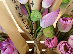 -鲜道寿司(无锡苏宁店)