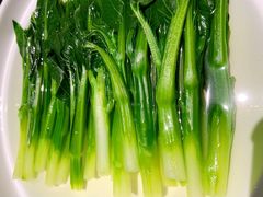 泉水菜心-欣悦府(城建大厦C座店)