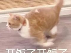 -巴黎贝甜·生日蛋糕(环球中心店)