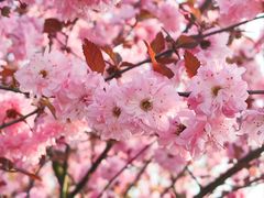 -上方山森林动物世界