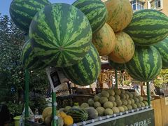 -新疆国际大巴扎