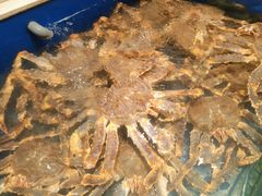 -海景壹号大酒店(滨湖店)