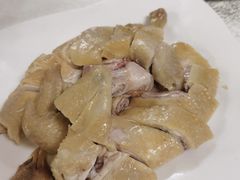 -广宁炭炉鸡煲·富临门饭店