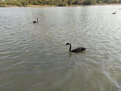 -五缘湾湿地公园