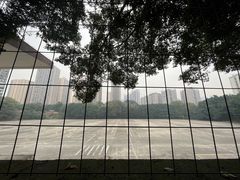 -西南政法大学(沙坪坝校区)