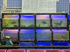-众味海鲜大排档·活海鲜·潮汕味(南澳店)