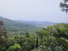 -东山风景区(洞庭东山)