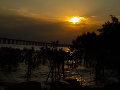 -宝安西湾红树林湿地公园