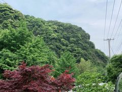 -水墨汀溪风景区