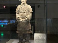 -秦始皇帝陵博物院(兵马俑)