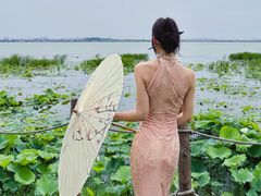 -七的湖·晚芳亭·阳澄湖农家菜·大闸蟹(莲花岛店)