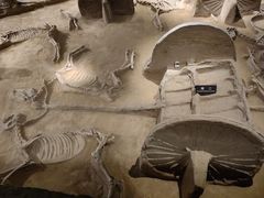 -洛阳周王城天子驾六博物馆