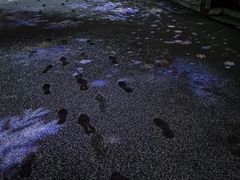 -海上田园