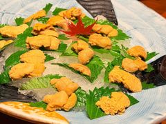 -月龍吟(朝龙汇店)