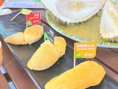 -榴莲BB 四季果园