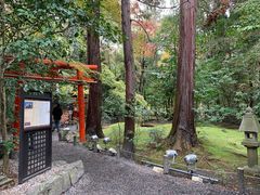 -野宫神社