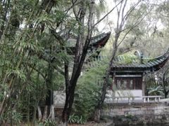 -庾园