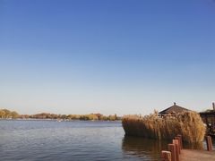 -石家庄市植物园