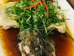 鲈鱼-朱仔记食府(江南大道店)