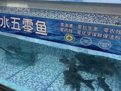-故乡缘·香格里拉山庄(冷竹路店)