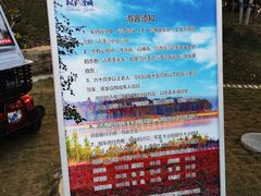 -南京枫彩漫城