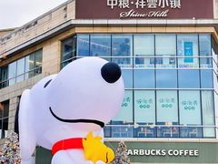 -中粮·祥云小镇