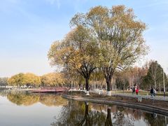 -石家庄市植物园