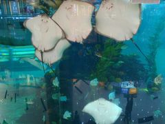 -鸿通城购物中心