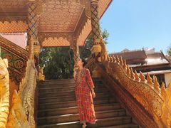 -西双版纳勐泐文化旅游区