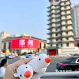 领到啦！🆓的郑州城市限定鹅！可爱啊啊啊  