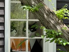 -三鹰之森吉卜力美术馆