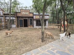 -南戴河国际娱乐中心