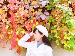 -玲珑塔公园